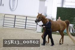 25R13_00862 thumbnail