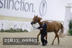 25R13_00863 thumbnail