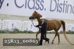 25R13_00865 thumbnail