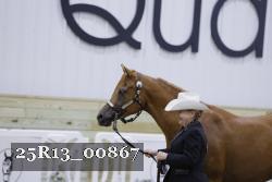 25R13_00867 thumbnail