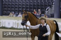 25R13_00870 thumbnail