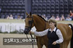 25R13_00871 thumbnail