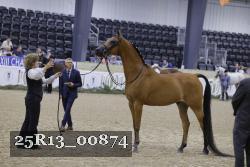 25R13_00874 thumbnail