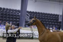 25R13_00875 thumbnail