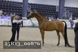 25R13_00876 thumbnail