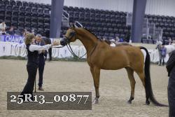 25R13_00877 thumbnail