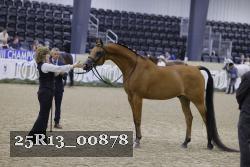 25R13_00878 thumbnail