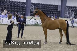 25R13_00879 thumbnail