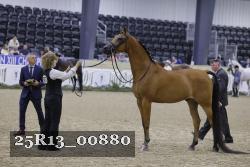 25R13_00880 thumbnail