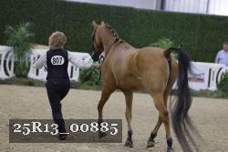 25R13_00885 thumbnail