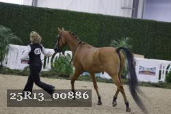 25R13_00886 thumbnail