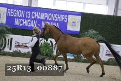 25R13_00887 thumbnail