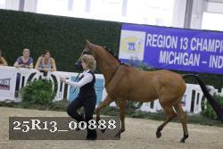 25R13_00888 thumbnail