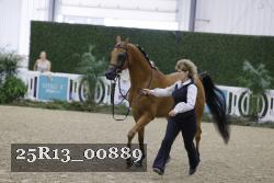 25R13_00889 thumbnail