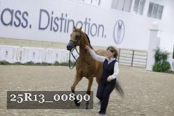 25R13_00890 thumbnail
