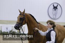 25R13_00891 thumbnail