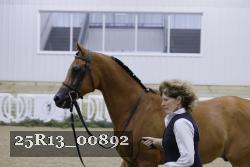 25R13_00892 thumbnail