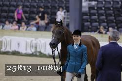 25R13_00894 thumbnail