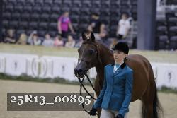 25R13_00895 thumbnail