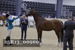25R13_00900 thumbnail