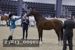 25R13_00901 thumbnail