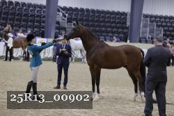 25R13_00902 thumbnail