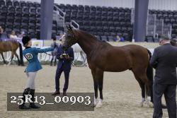 25R13_00903 thumbnail