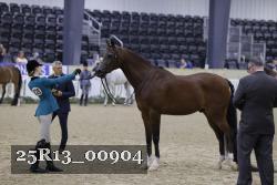 25R13_00904 thumbnail