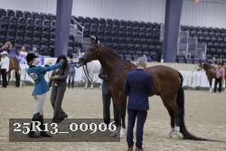 25R13_00906 thumbnail