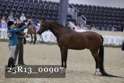 25R13_00907 thumbnail