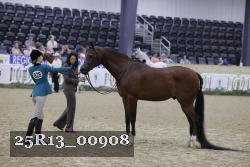 25R13_00908 thumbnail