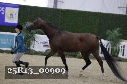 25R13_00909 thumbnail