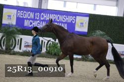 25R13_00910 thumbnail
