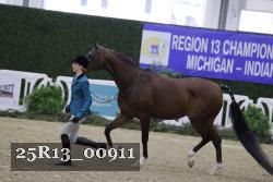 25R13_00911 thumbnail