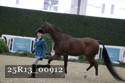 25R13_00912 thumbnail