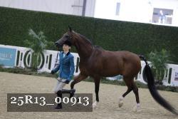 25R13_00913 thumbnail