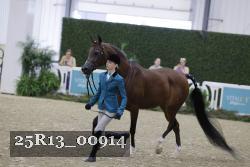 25R13_00914 thumbnail