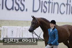 25R13_00915 thumbnail