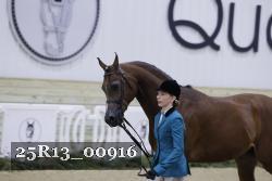 25R13_00916 thumbnail