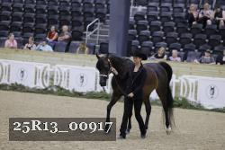 25R13_00917 thumbnail