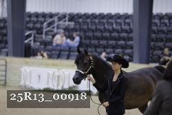 25R13_00918 thumbnail