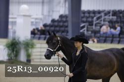 25R13_00920 thumbnail