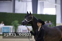 25R13_00921 thumbnail