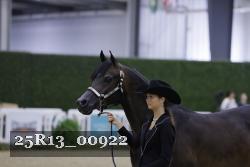 25R13_00922 thumbnail