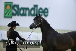 25R13_00924 thumbnail