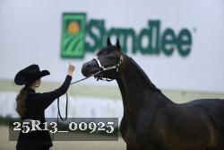 25R13_00925 thumbnail