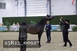 25R13_00927 thumbnail