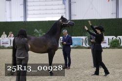 25R13_00928 thumbnail