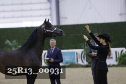 25R13_00931 thumbnail