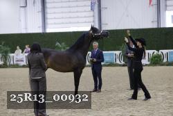 25R13_00932 thumbnail